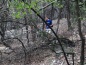 2011-03-20-Hiking the Greenbelt-09.jpg